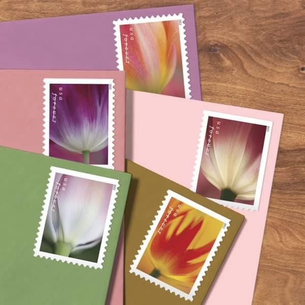 Tulip Blossom Forever First Class Postage Stamps, Valentine, Wedding, Celebration, Anniversary, Romance, Party (3 Sheets of 20 Count Booklet= 60 Stamps)