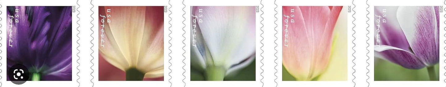USPS 2023 Tulip Blossom Forever First Class Postage Stamps (20 Count Booklet)