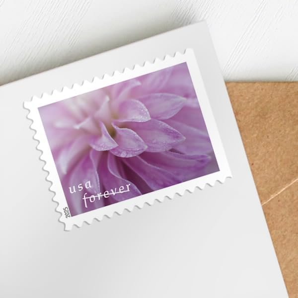 United States Postal Service Dahlias First-Class Mail Forever Postage Stamps (Book of 20)
