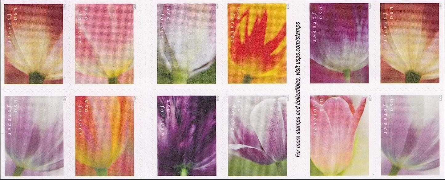 Tulip Blossoms Forever Postage Stamps Book of 20 Self-Stick Stamp for USPS First Class Envelopes (20 Stamps)