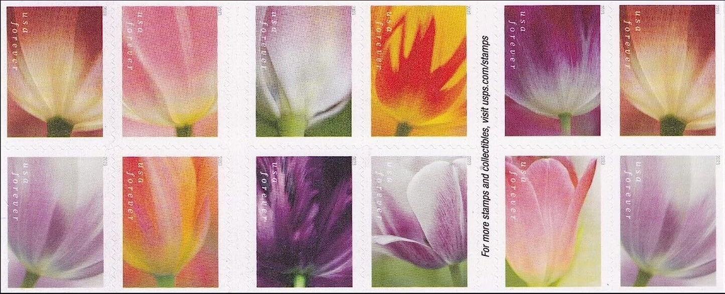 USPS 2023 Tulip Blossom Forever First Class Postage Stamps (20 Count Booklet)