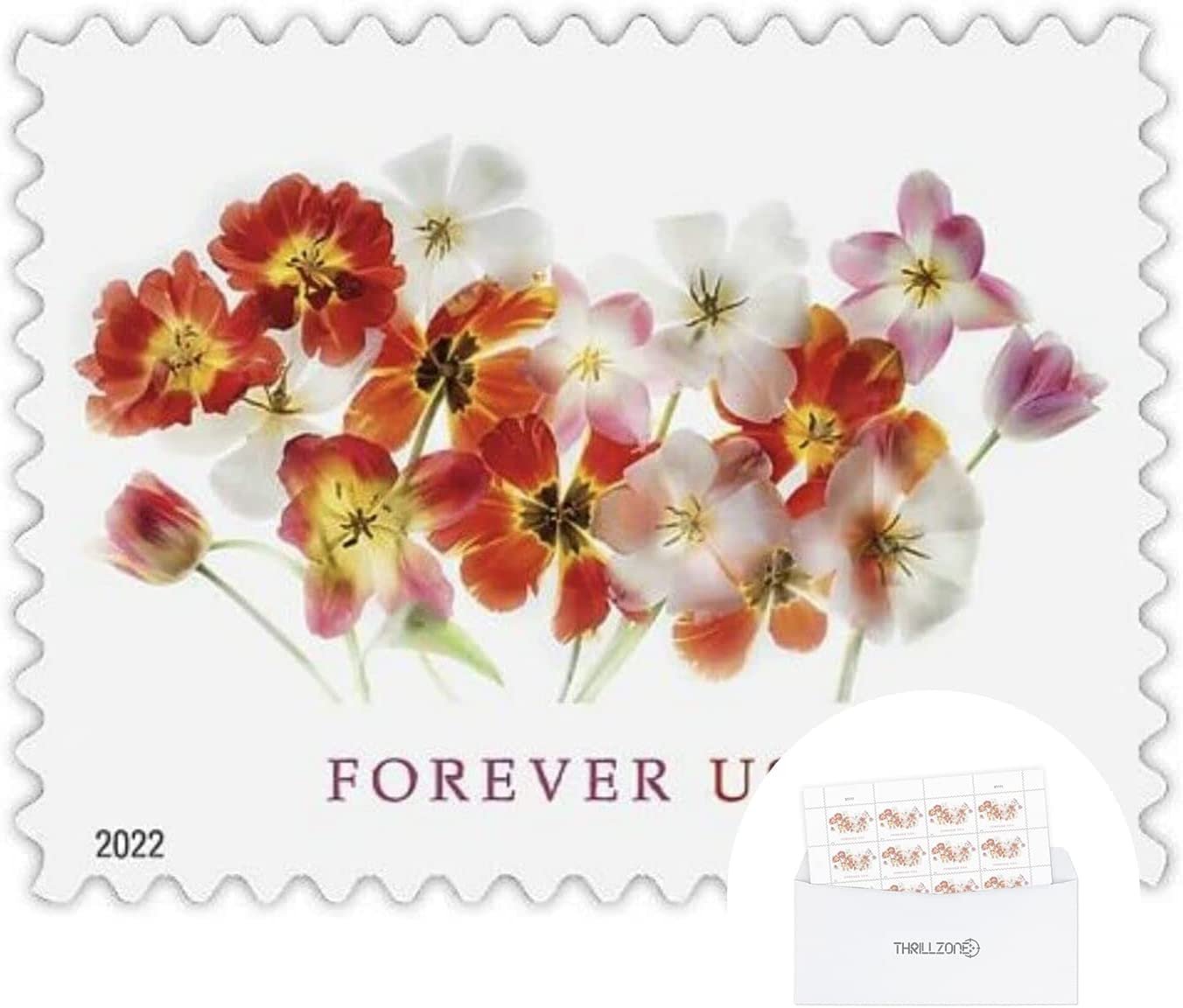 US Postal TULIPS Forever First Class Postage Mailing Stamps for Invitation Wedding Celebration Party Love Valentines Graduation Announcement RSVP Scott 5681 (4 Sheets of 20) - TZ Envelope
