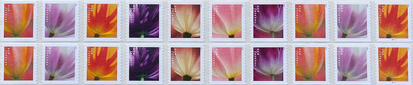 USPS 2023 Tulip Blossoms Forever First Class Postage Stamps (20 Count Strip)