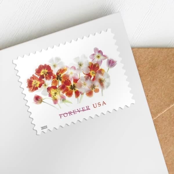US Postal TULIPS Forever First Class Postage Mailing Stamps for Invitation Wedding Celebration Party Love Valentines Graduation Announcement RSVP Scott 5681 (4 Sheets of 20) - TZ Envelope