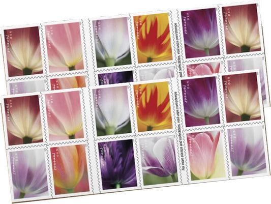 Tulip Blossom USPS Forever Postage Stamp 2 Books of 20 US First Class Flower Wedding Celebration Party Garden Announcement (40 Stamps)