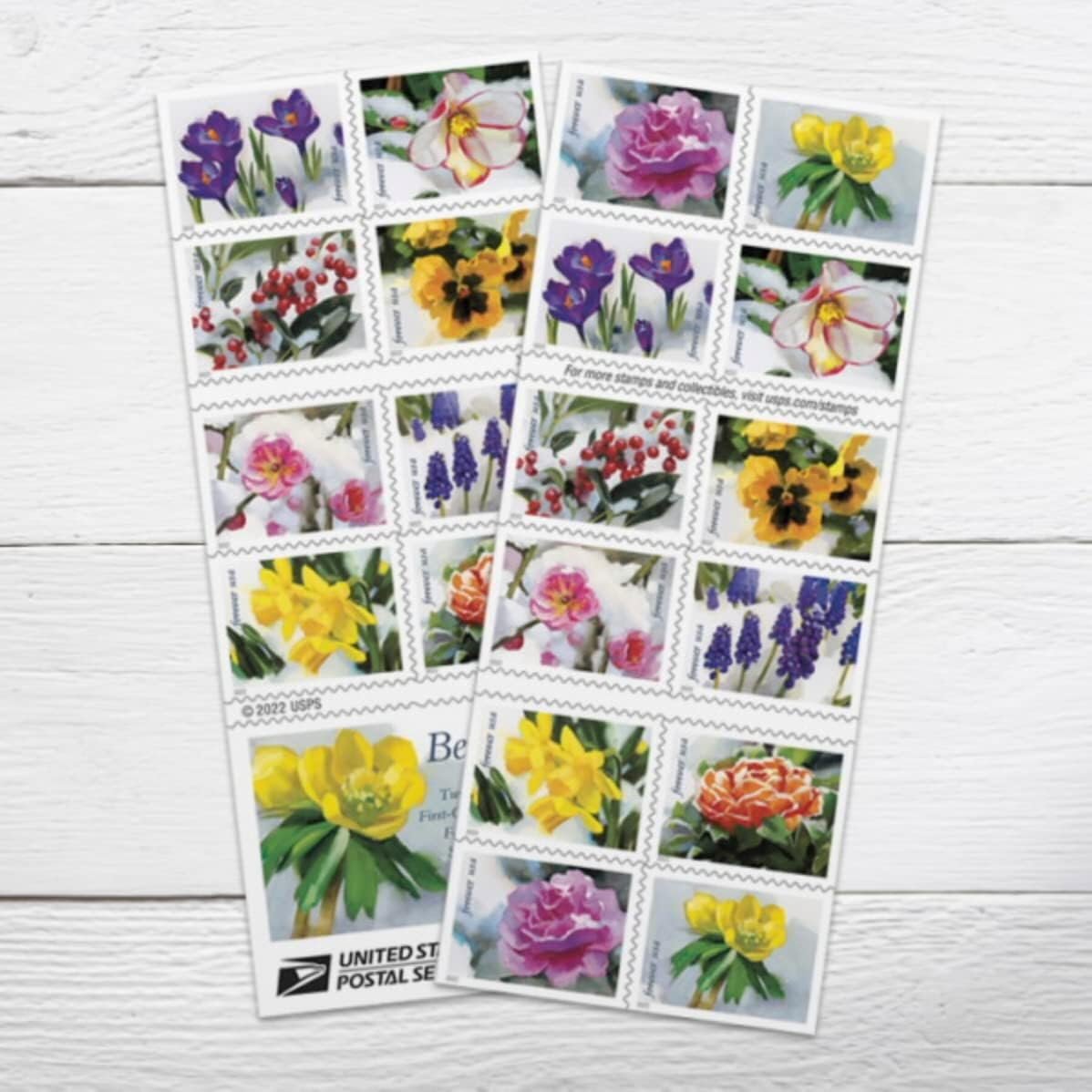 USPS Snowy Beauty (5 Booklets of 20) 100 Postage Forever Stamps, Self-Adhesive, Garden, Wedding, Love, Celebration, Holiday, Winter, Flower, 2022 Scott #5727-5736