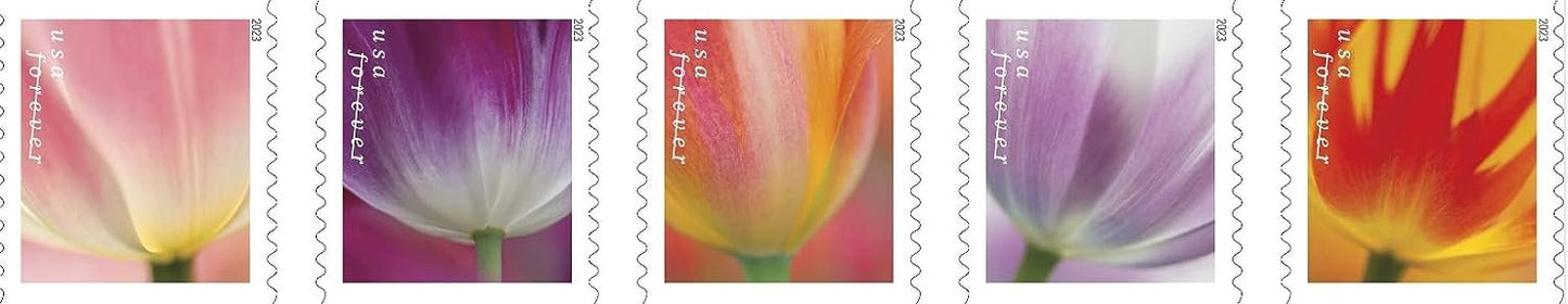 USPS 2023 Tulip Blossom Forever First Class Postage Stamps (20 Count Booklet)