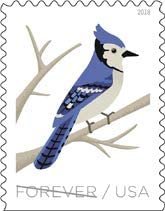 USPS Forever Stamp Sheets Featuring Birds (2 Sheets, Birds in Winter)