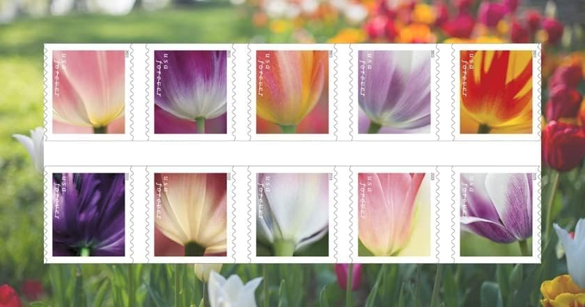 Tulip Blossom Forever First Class Postage Stamps, Valentine, Wedding, Celebration, Anniversary, Romance, Party (3 Sheets of 20 Count Booklet= 60 Stamps)