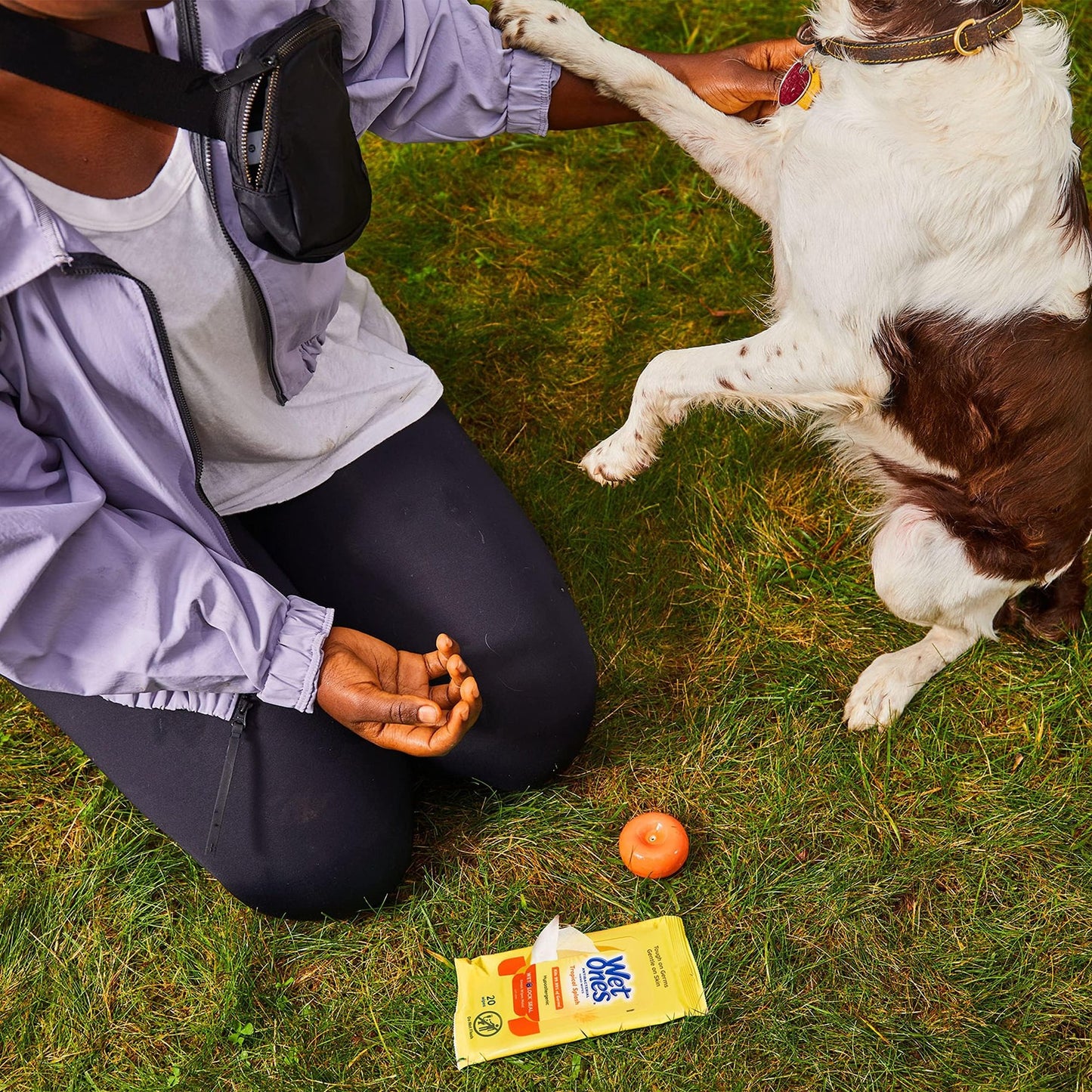 Wet Ones Antibacterial Hand Wipes, Fresh Scent Wipes | Travel Wipes Case, Antibacterial Wipes | 20 ct. Travel Size Wipes (30 pack)