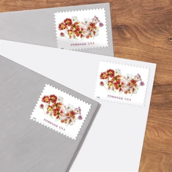 US Postal TULIPS Forever First Class Postage Mailing Stamps for Invitation Wedding Celebration Party Love Valentines Graduation Announcement RSVP Scott 5681 (4 Sheets of 20) - TZ Envelope