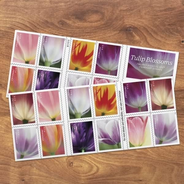 Tulip Blossom Forever First Class Postage Stamps, Valentine, Wedding, Celebration, Anniversary, Romance, Party (3 Sheets of 20 Count Booklet= 60 Stamps)